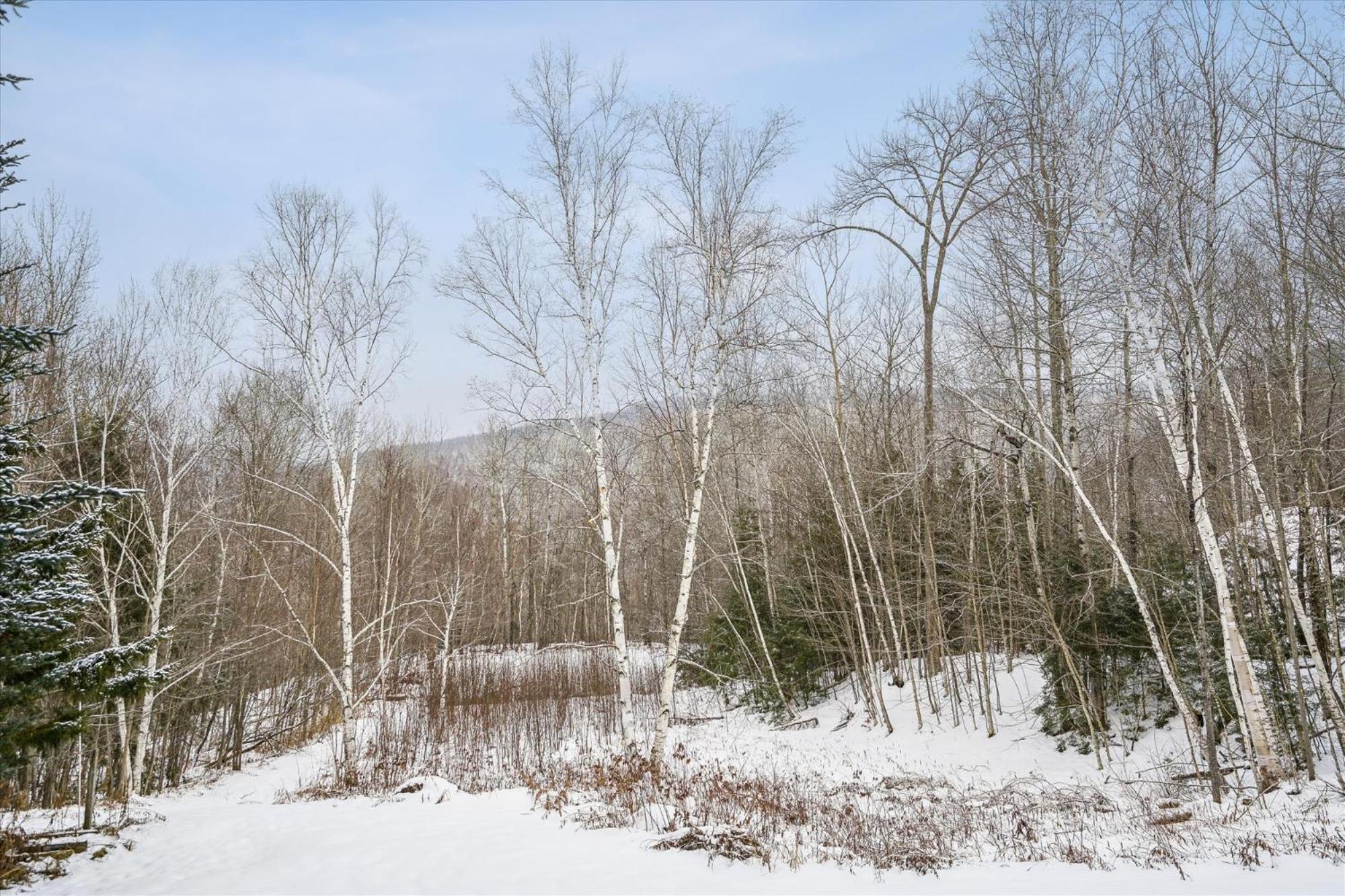 Spacious Northbrook 3 Townhouse Only 2 Miles From Restaurants & Nightlife Killington Kültér fotó